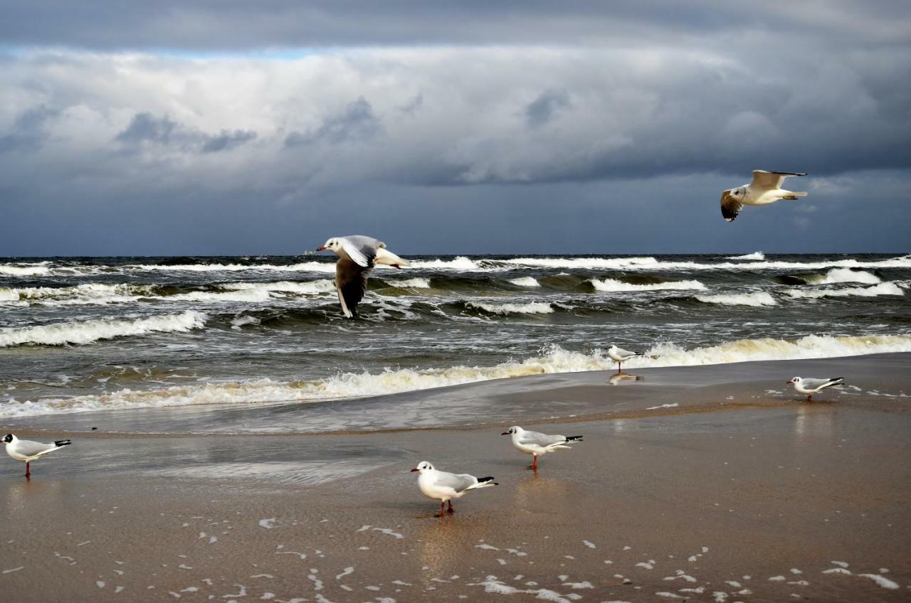 Polanki Be Happy Leilighet Kołobrzeg Eksteriør bilde